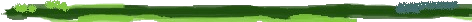 Menu Border 4