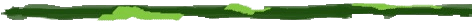 Menu Border 5